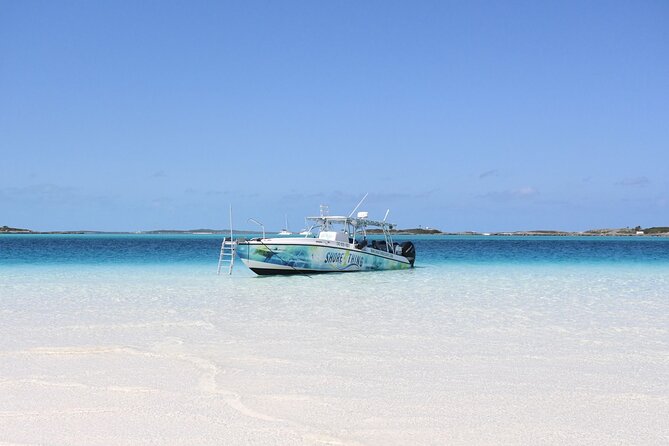 6 Hours Rose Island Tour with Snorkeling Experience and Lunch - FAQ