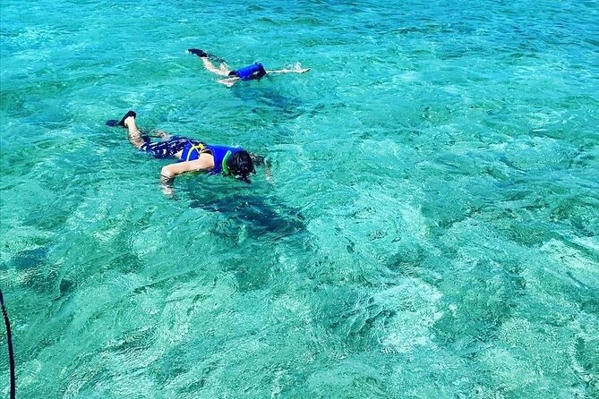 Small-Group Snorkeling Experience at Sea Garden - The Sum Up: Who Should Book This Tour?