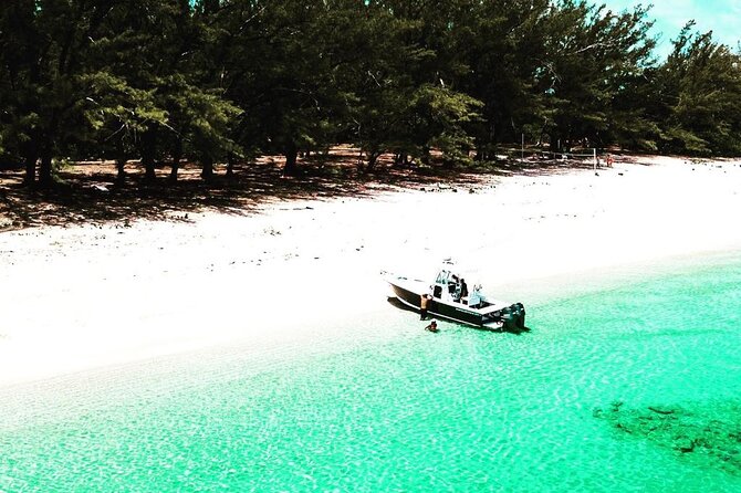 Beach Day Swim with Turtles and Pigs Excursion in Nassau - Who Should Consider This Tour?