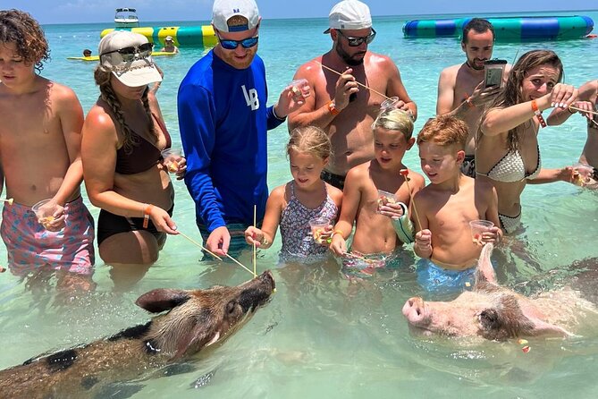 Rose Island Private Beach: Swimming with the Pigs - The Full Experience: What to Expect on Your Day Out