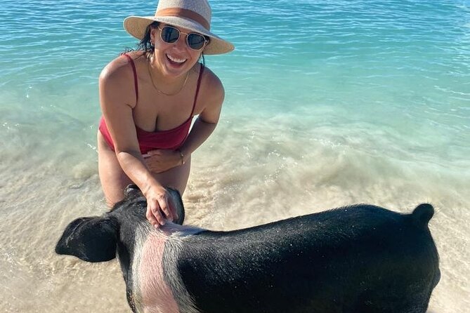 Rose Island Private Beach: Swimming with the Pigs - Who Should Consider This Tour?