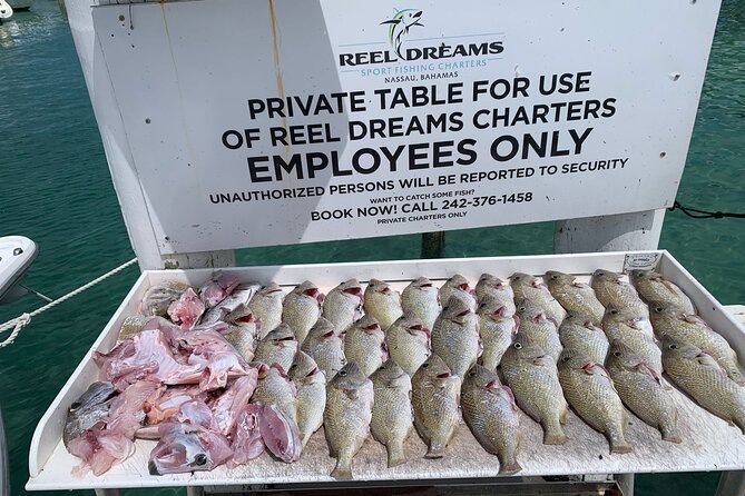 4 hours 34ft Day Dream Private Charter in Nassau - Why This Tour Stands Out