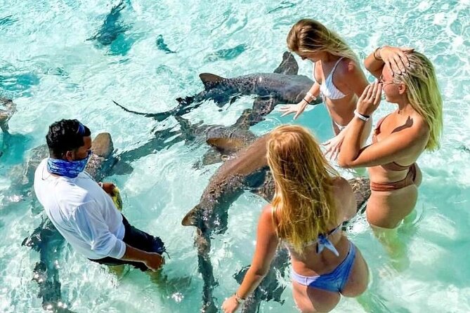 Exuma Full Day Swimming Pigs Group Boat Tour - The Starting Point and Journey Duration