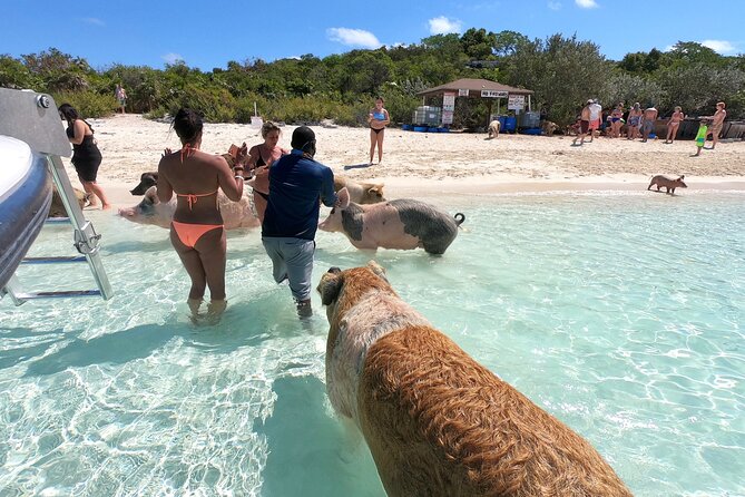 Exuma Full Day Swimming Pigs Group Boat Tour - The Stops: What You’ll See and Do
