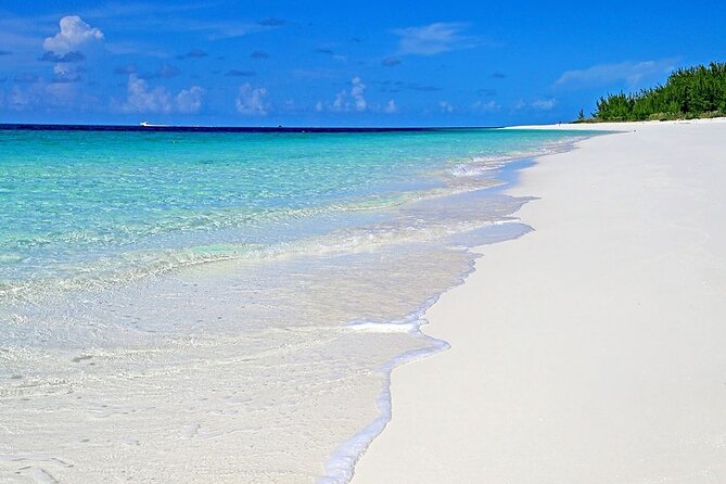 Rose Island Half-Day Snorkeling Cruise - Who Will Love This Tour?