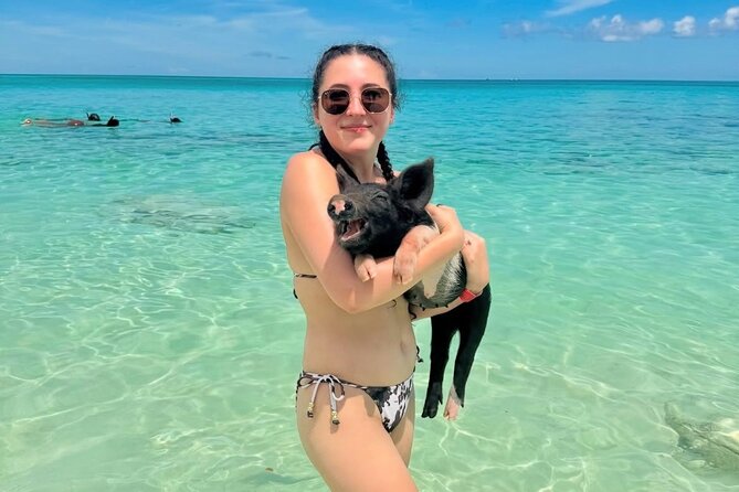 Swimming Pigs and Private Beach Club Escape - Practical Details and Tips for Your Trip