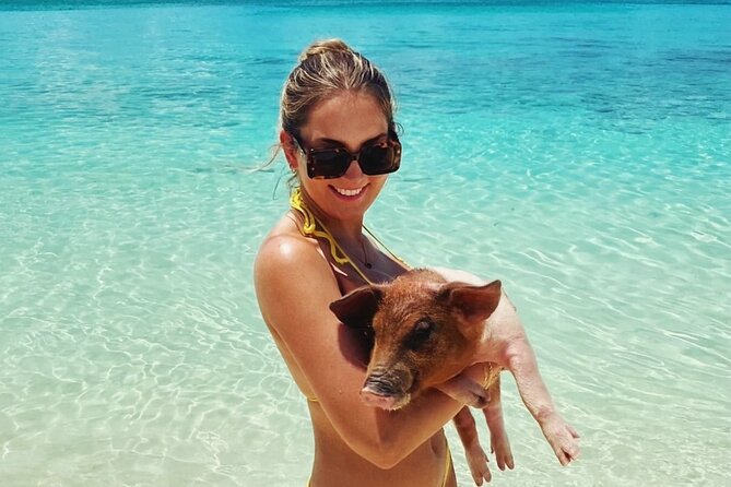 Swimming Pigs and Private Beach Club Escape - An In-Depth Look at the Tour Experience