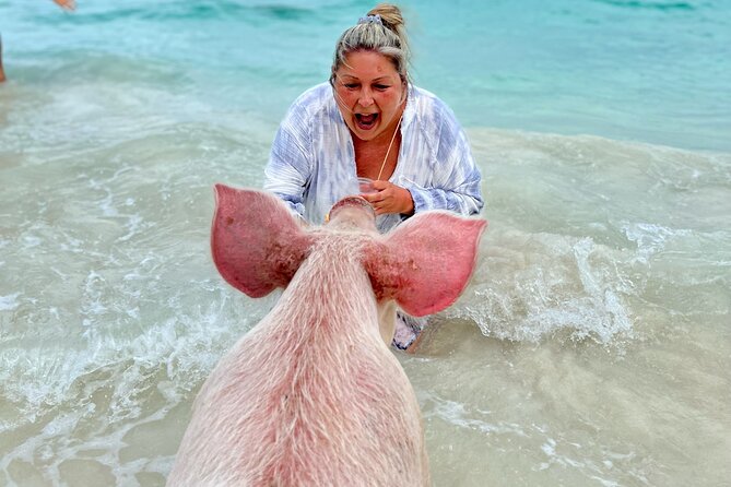 Swimming Pigs and Private Beach Club Escape - The Sum Up