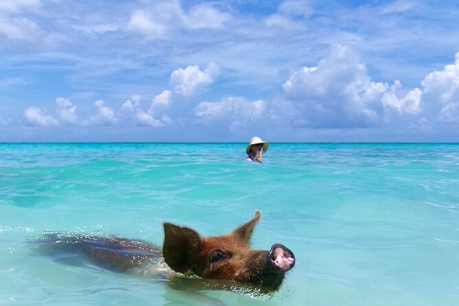 Private Sightseeing Tour in Nassau with Lunch - Final Thoughts: Is It Worth It?