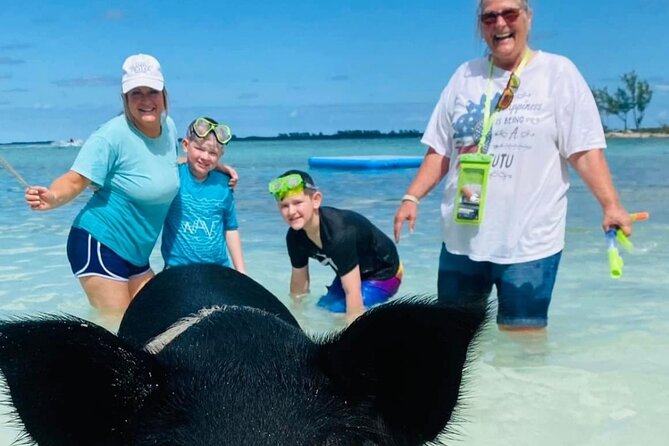 Powerboat and Snorkel Experience with Swimming Pigs and Turtles - Who Should Consider This Tour?