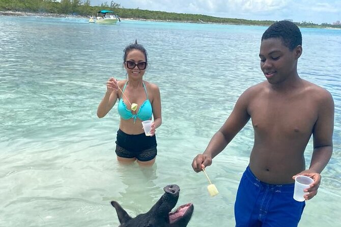 Powerboat and Snorkel Experience with Swimming Pigs and Turtles - Why This Tour Stands Out