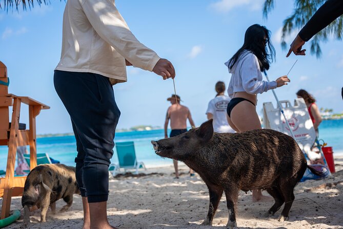 Rose Island Private Boat Tour Departing Nassau - Key Points