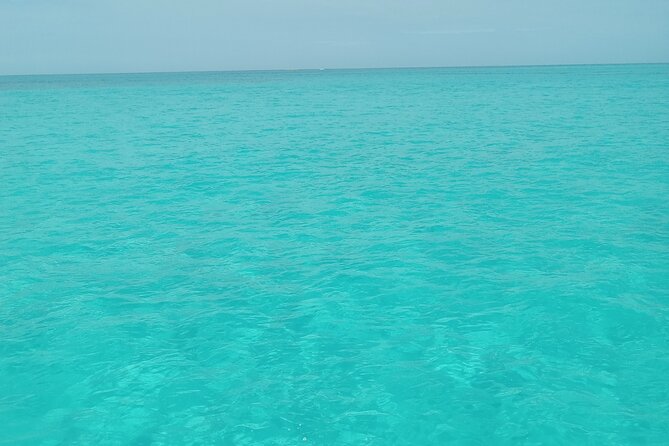 Private speed boat beach and bar hopping visiting Rose island - An Authentic Bahamas Adventure by Speedboat