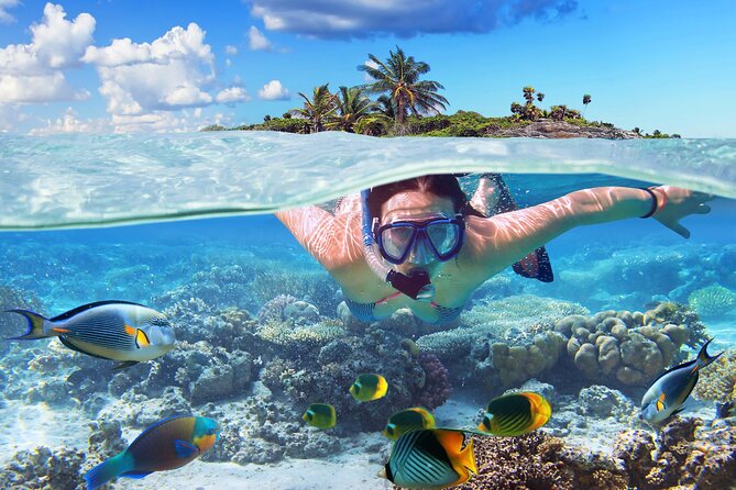 Nassau: Private Island & Snorkeling, Turtles, Drinks & BBQ - Exploring the Itinerary: What You Can Expect