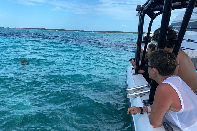 Nassau: Private Island & Snorkeling, Turtles, Drinks & BBQ - Key Points