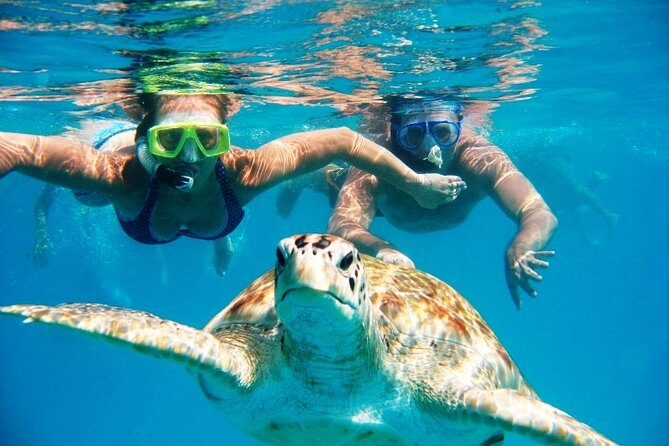 Nassau: Private Island & Snorkeling, Turtles, Drinks & BBQ - Who Will Love This Tour?