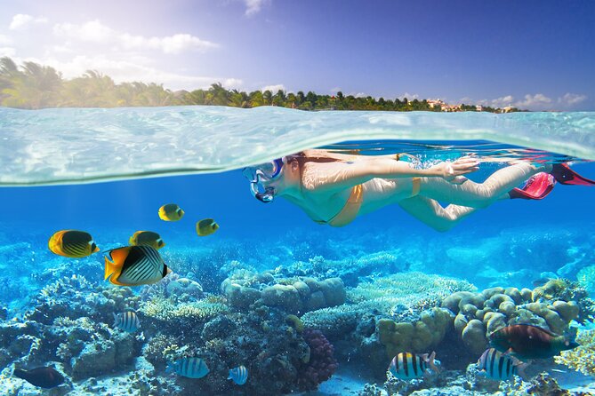 Private 2-Hour Tour in Nassau - Who Will Love This Tour?