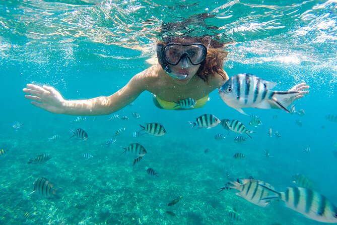 Private 2-Hour Tour in Nassau - Key Points