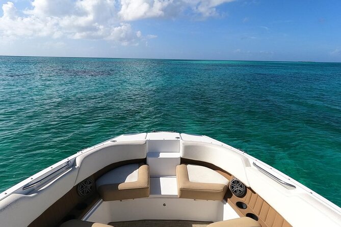 Half-Day Luxury Private Rose Island Pigs and Turtles Excursion - Exploring the Details of the Tour