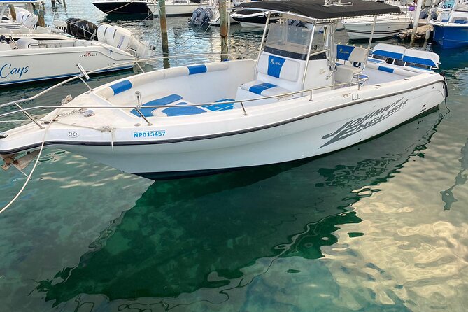 Pigs Beach, Green Turtle Cay, Rose Island Private Tour - Why This Tour Offers Great Value