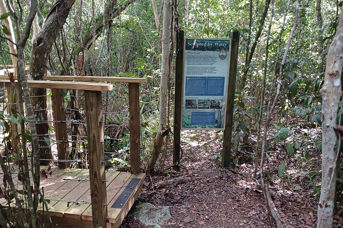 Guided Primeval Nature Walk Tour in Primeval Forest National Park - Who Should Book This?