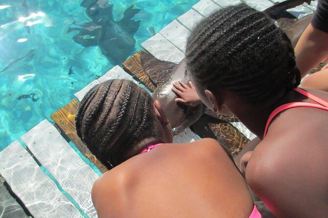 Turquoise Experience -Exuma Cays -Southern Exuma Private Charter - What’s Included & What to Consider