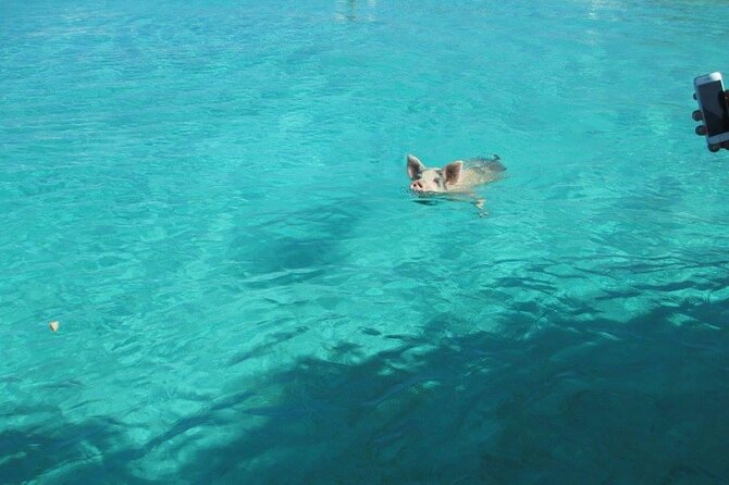 Turquoise Experience -Exuma Cays -Southern Exuma Private Charter - The Value of the Tour