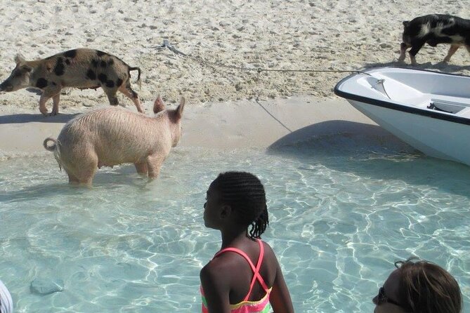 Turquoise Experience -Exuma Cays -Southern Exuma Private Charter - Who Should Consider This Tour?