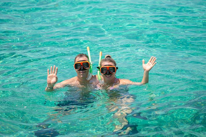 Swim with Famous Pigs at Rose Island - A Detailed Look at the Tour Experience