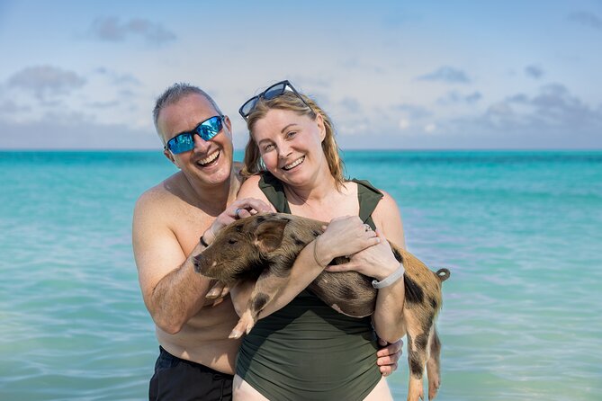Swim with Famous Pigs at Rose Island - FAQ