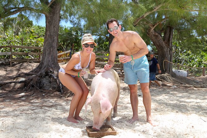 Swim with Famous Pigs at Rose Island - Final Thoughts