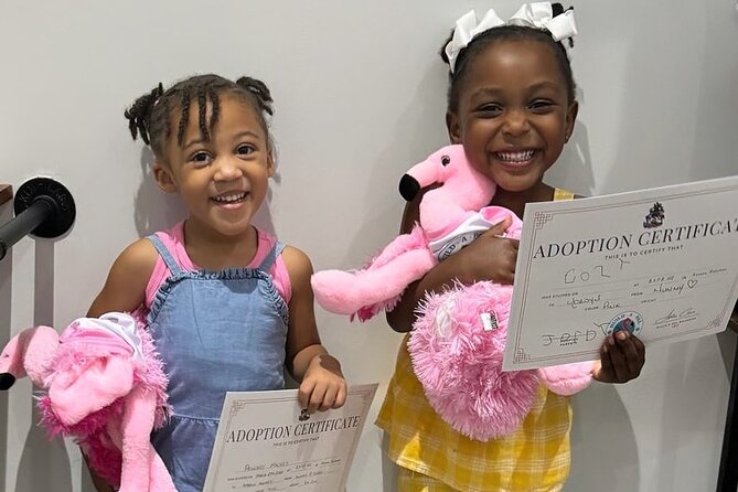 Bahamian Plush Essentials - The Meeting Point and Practical Details