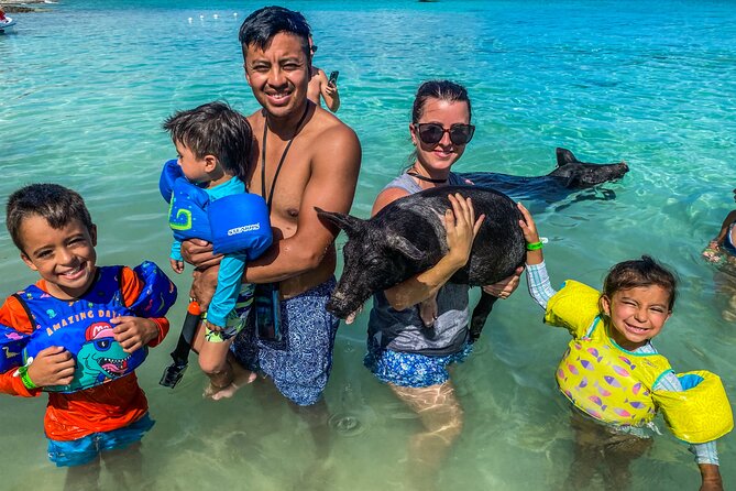 Private Rose Island Half Day Tour with Swimming Pigs and Turtles - Key Points