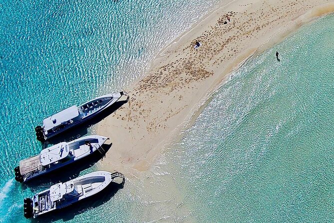 Full Day Exuma Swimming Pigs - Group Boat Tour From Nassau - Practical Details and What to Expect