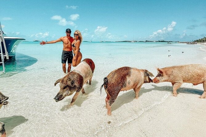 Full Day Exuma Swimming Pigs - Group Boat Tour From Nassau - Full Day Exuma Swimming Pigs - Group Boat Tour From Nassau