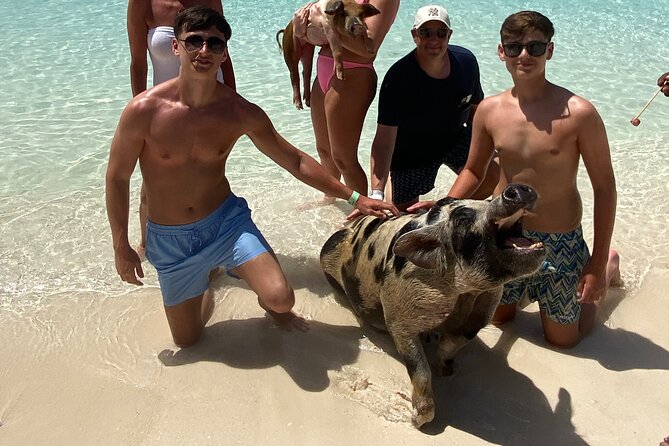 Private Rose Island Tours - Starting Point and Duration