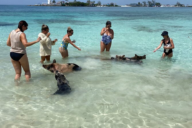 Private Rose Island Tours - Snorkeling, Pig Swimming, or Just Relaxing