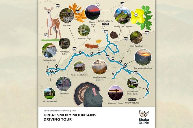 Great Smoky Mountains National Park Self-Guided Audio Tour - Authentic Traveler Feedback and Common Concerns