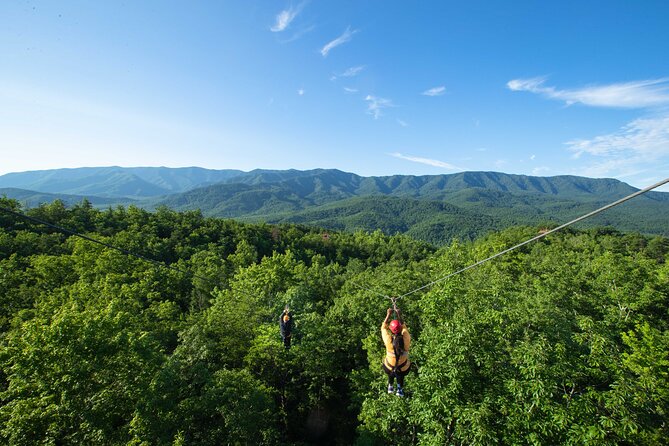Mountaintop Zipline 2-Hours Activity - Why Choose This Tour?