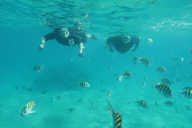 Luxury Snorkeling on Your Vacation Exclusively Private Guaranteed - Key Points