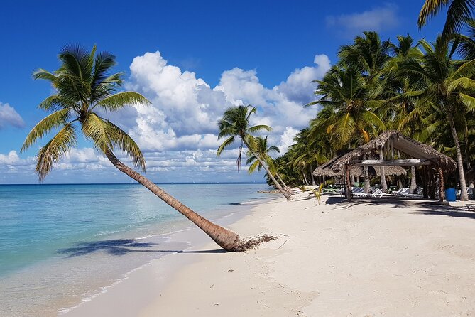 Saona Island Full-Day Tour from Las Terrenas with Lunch - In-Depth Look at the Saona Island Tour