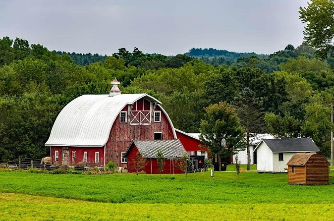 Amish Farm and House Day Tour from Washington D.C. - Final Thoughts: Who Is This Tour Best For?