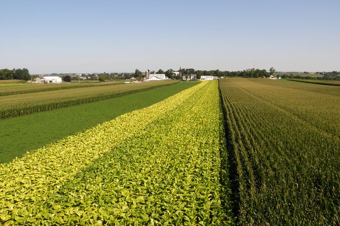Amish Farmlands Tour - Frequently Asked Questions
