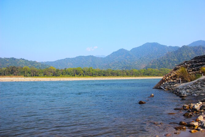 Manas National Park Safari, Lunch with pick up from Guwahati - Experience the Wilderness of Manas National Park from Guwahati