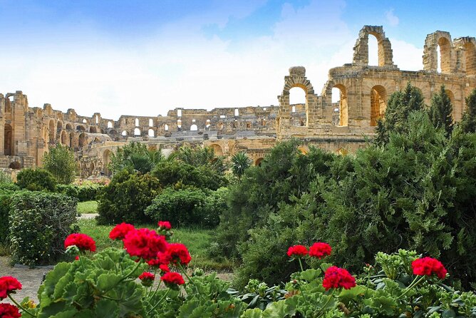 4 Hour Shared Tour in El Jem Colosseum - Why This Tour Offers Good Value