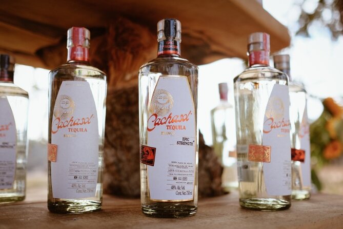 Cachasol Raicilla and Tequila Tour - Who Should Consider This Tour?