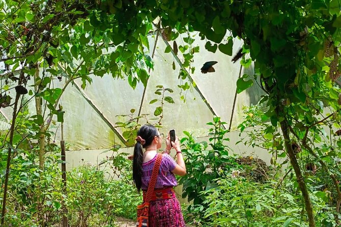 Tour in the Atitlan Nature Reserve - In-Depth Look at the Atitlán Nature Reserve Tour