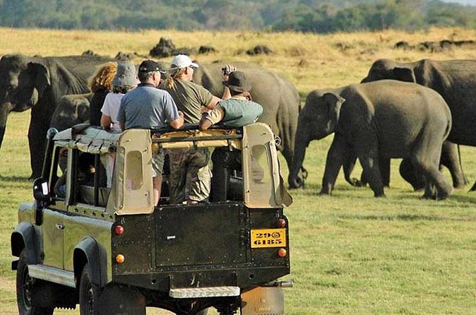 Yala National Park Leopard Safari Wildlife Private Adventure - Who Will Love This Tour?