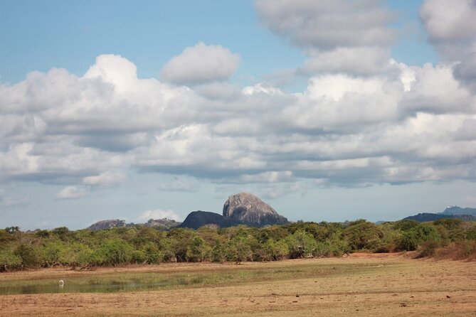 Yala safari Tours Morning /Afternoon /Full Day - What Sets This Tour Apart?