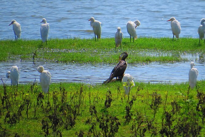 Yala National Park Safari from Hambantota Seaport - Final Thoughts